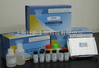 精准检测抗精子抗体 上海圻明生物科技AsAb ELISA试剂盒助力生殖健康研究